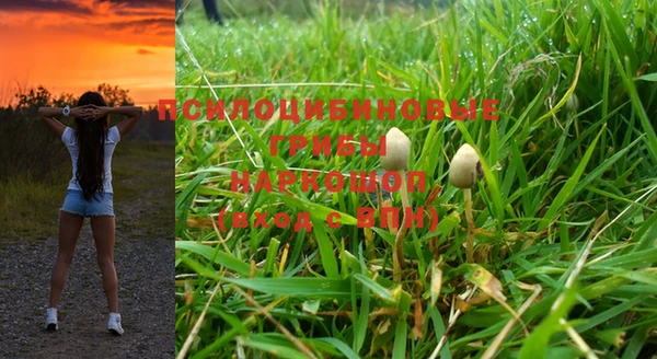 прущая мука Аркадак