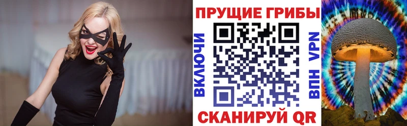 Купить закладки Пестово Галлюциногенные грибы GOLDEN TEACHER